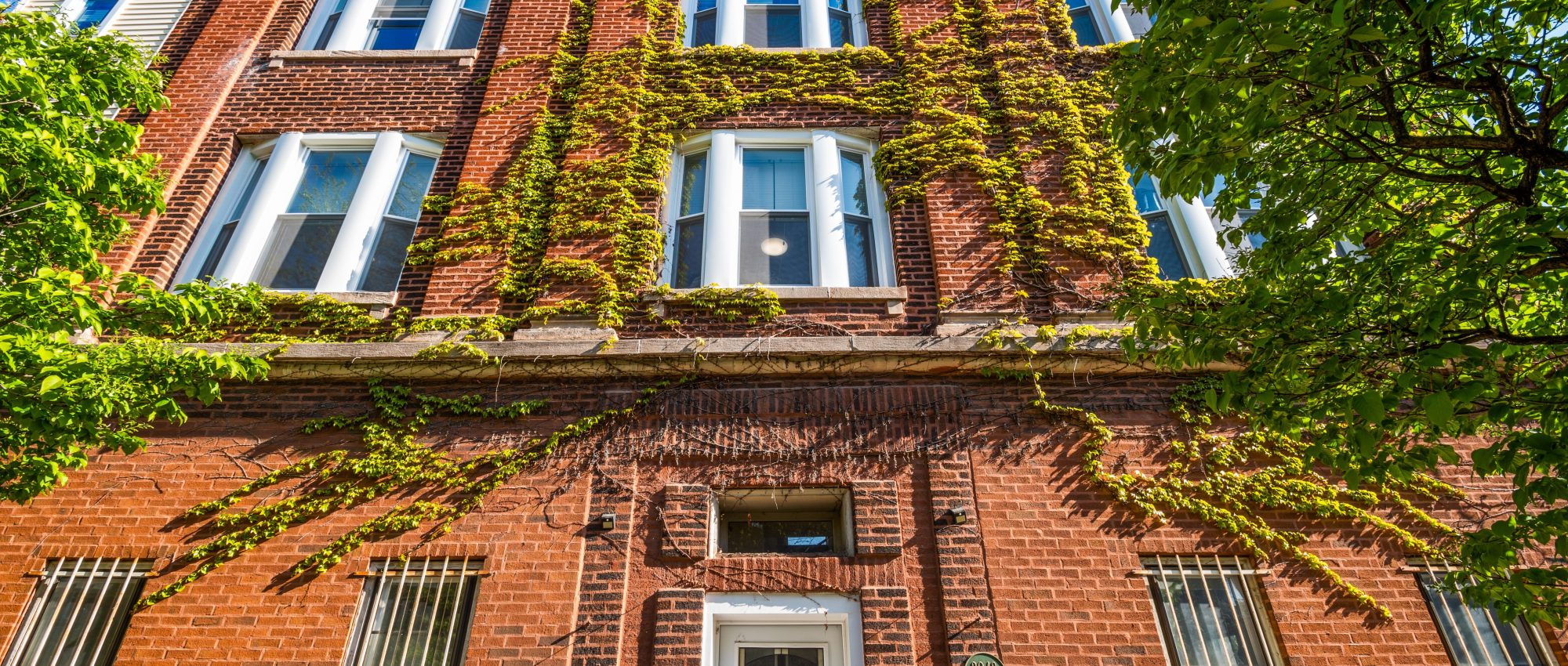 2048 W. Evergreen #1